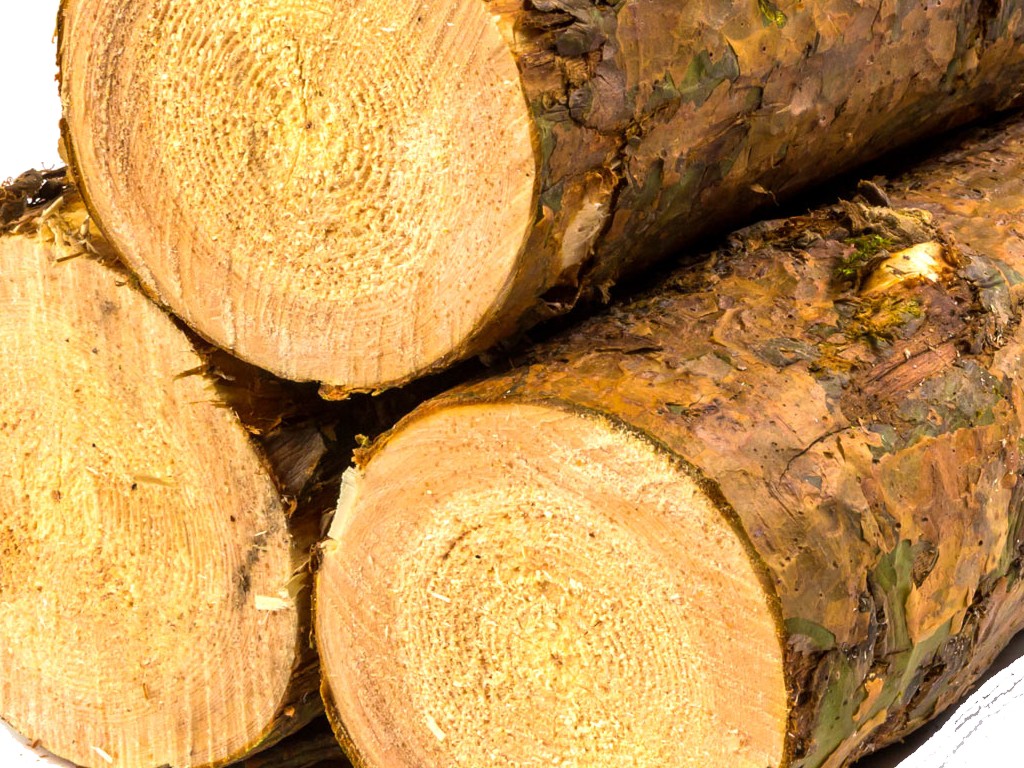 logs
